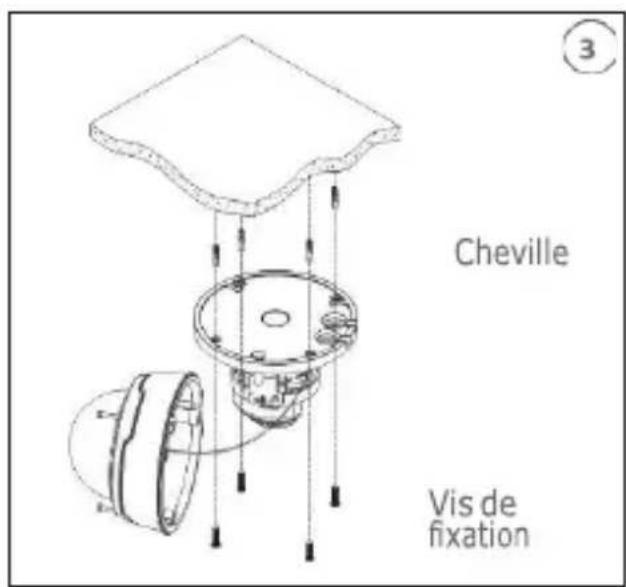 Cheville Vis de fixation