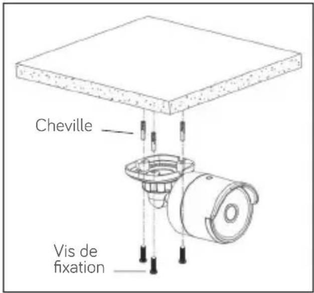 Cheville Vis de fixation