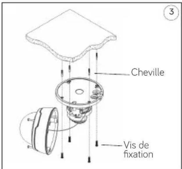 Cheville Vis de fixation