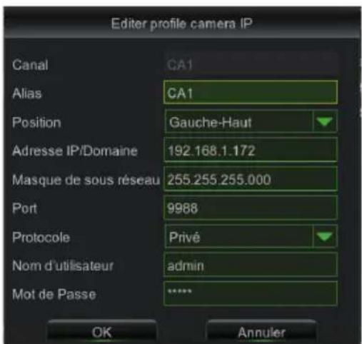 Editor profile camera IP Canal CA1 Alias CA1 Position Gauche-Haut Adresse IP/Domaine 192.168.1.172 Masque de sous réseau 255.255.255.000 Port 9988 Protocole Privé Nom d'utilisateur admin Mot de Passe **** OK Annuler