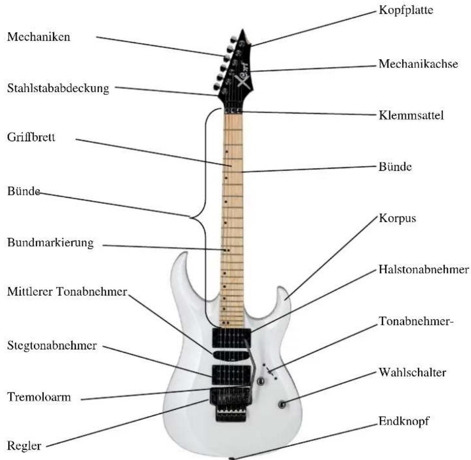 Cort G110 - Aufbau deiner elektrischen Gitarre - 1