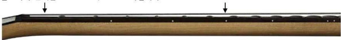 Cort G110 - 넥 힘 체크 - 1