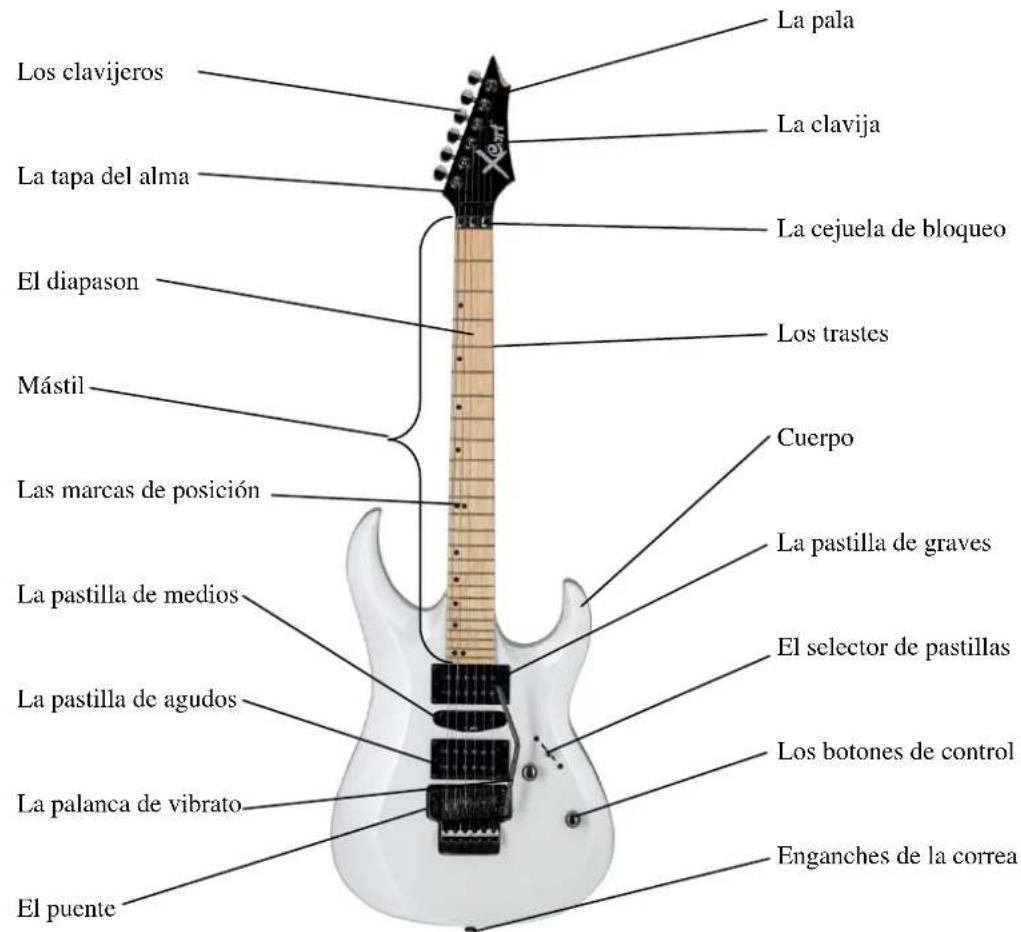 Cort G110 - Las partes de su guitarra eléctrica - 1
