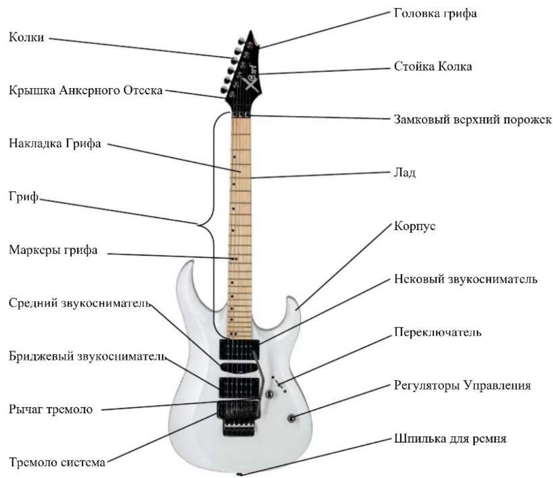 Cort G110 - Части Вашей электрогитары - 1