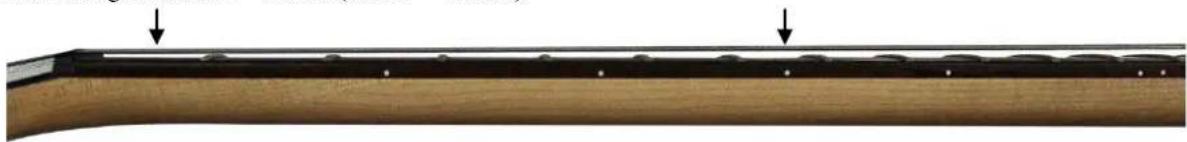Cort G110 - Die Halskrümmung - 1