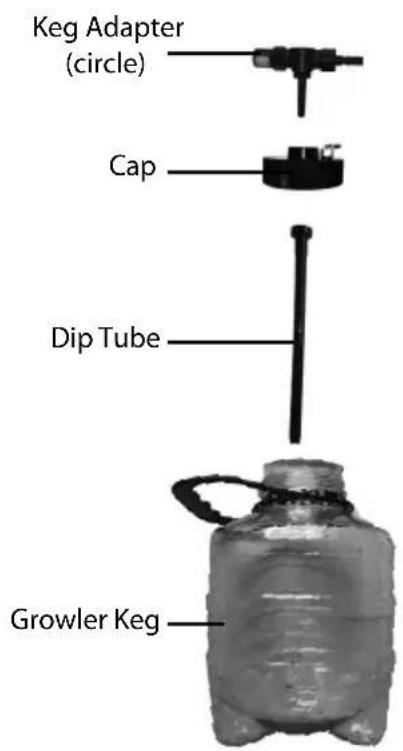 HomeCraft CBD5SS - 5L Growler Keg (Non-Pressurized) - 1