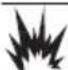 Generac G0077050 - DANGER - 1