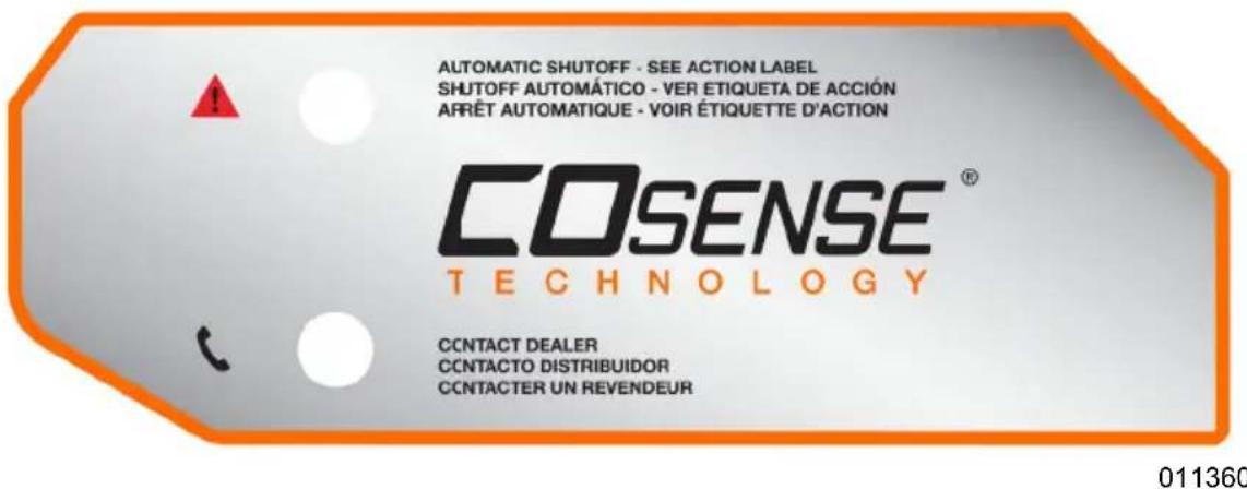 Generac G0077050 - Système de détection de monoxyde de carbone (CO) et de mise à l'arrêt (sur certains modèles) - 2