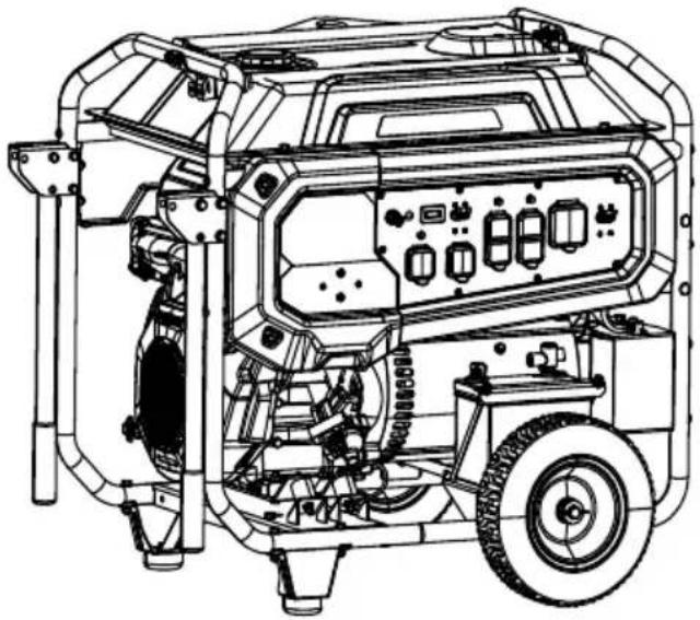 Generac G0089170 - Owner's Manual - 1