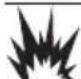 Generac G0089170 - DANGER - 1