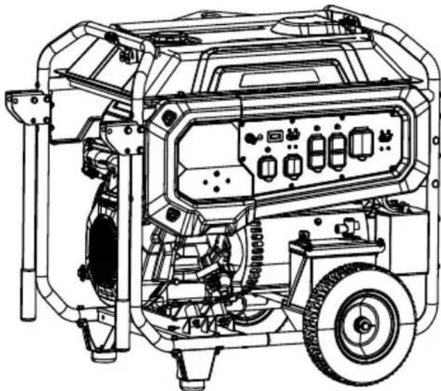 Generac G0089170 - Manuel de l'utilisateur - 1