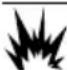 Generac G0080110 - DANGER - 1