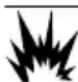 Generac G0080110 - DANGER - 1