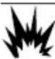 Generac G0080110 - DANGER - 1
