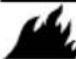 Generac G0080110 - ADVERTENCIA - 1