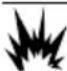 Generac G0080110 - DANGER - 1