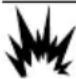 Generac G0080110 - Combustible - 1