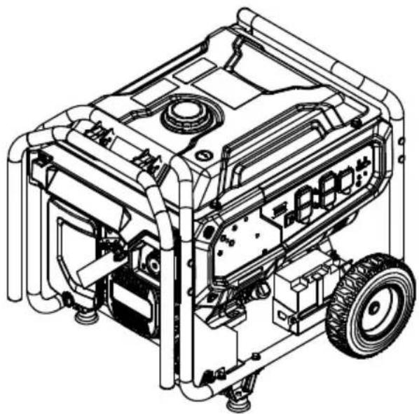 Generac G0080110 - MISE EN GARDE - 4