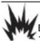 Generac G0071280 - DANGER - 1