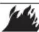 Generac C20 - WARNING - 1