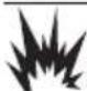 Generac G0077230 - DANGER - 1