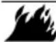 Generac G0077230 - ADVERTENCIA - 1