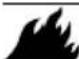 Generac G0071540 - DANGER - 1