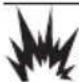 Generac G0071270 - DANGER - 1