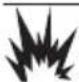 Generac G0082511 - DANGER - 1