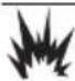 Generac G0082511 - DANGER - 1