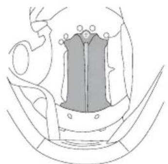 Schuberth C5 - inStallatiOn heaD paD - 3