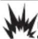Generac G0077231 - Combustible - 1