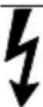 Generac G0080250 - WARNING - 1