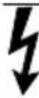 Generac G0080250 - DANGER - 1