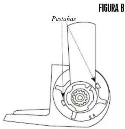 Weston 82-0250-W - INSTRUCCIONES DE DESARMADO Y LIMPIEZA - 2