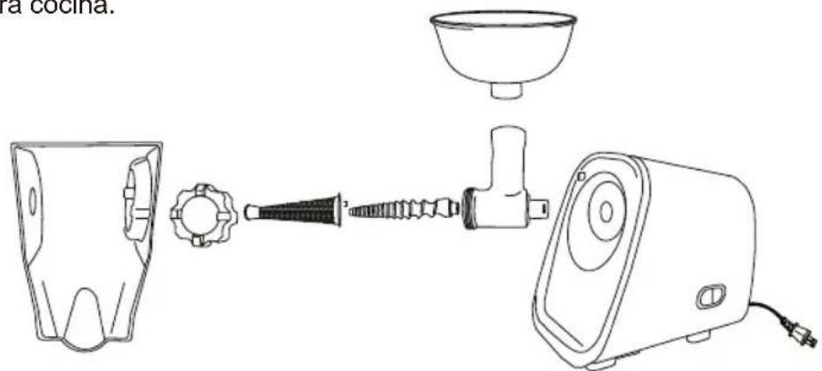 Weston 82-0250-W - INSTRUCCIONES DE DESARMADO Y LIMPIEZA - 3