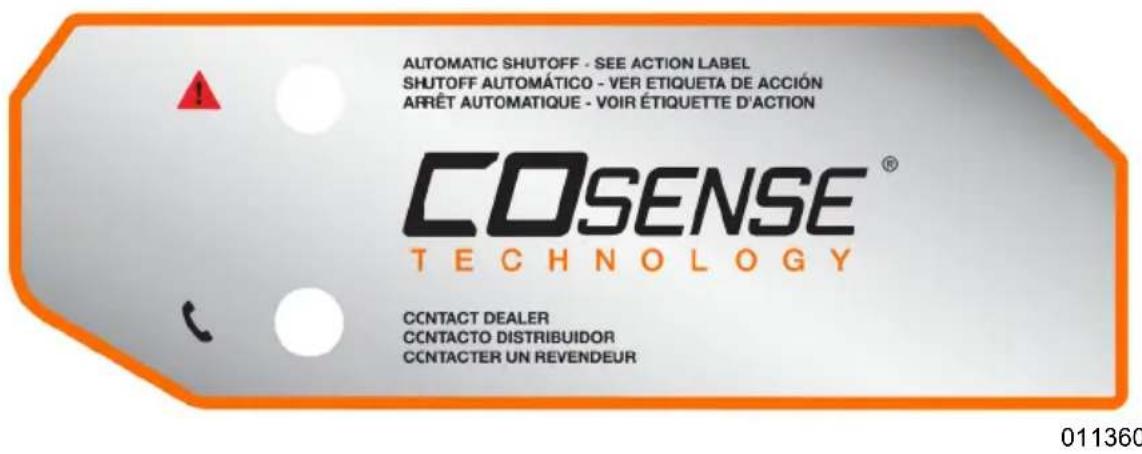 Generac G0076830 - Sistema de detección y corte de monóxido de carbono (si está equipado) - 2