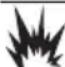 Generac G0076830 - DANGER - 1