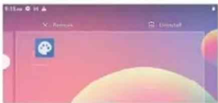 Prixton Nova - Uninstall App - 1