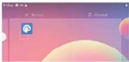 Prixton Nova - Disinstalla app - 1