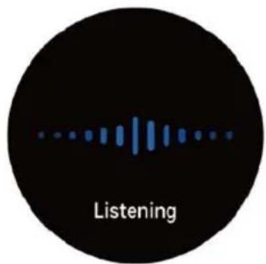 Prixton SWB33 - Voce AI - 1