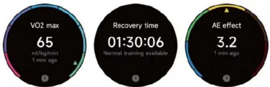 Prixton SWB33 - Trainingsstatus - 1