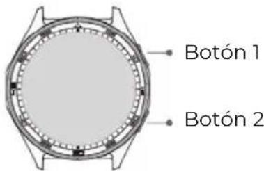 Prixton SWB33 - Introducción - 1