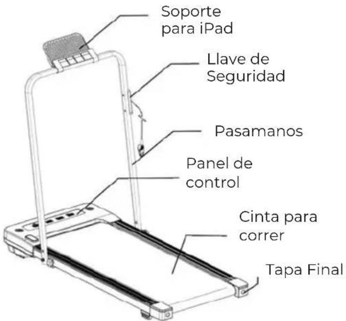 Prixton Run Fit Compact RF110 - LISTA DE PIEZAS: - 6
