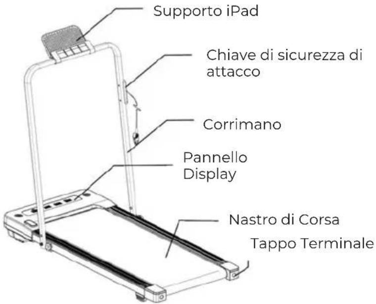 Prixton Run Fit Compact RF110 - LISTA DEI COMPONENTI - 6