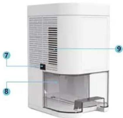 Prixton Sahara - Product details - 2