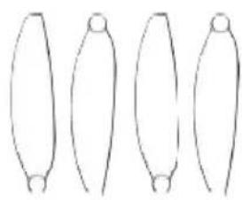 Prixton Delta - ACCESSIONI - 3