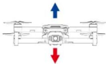 Prixton Delta - Voo Basko - 4