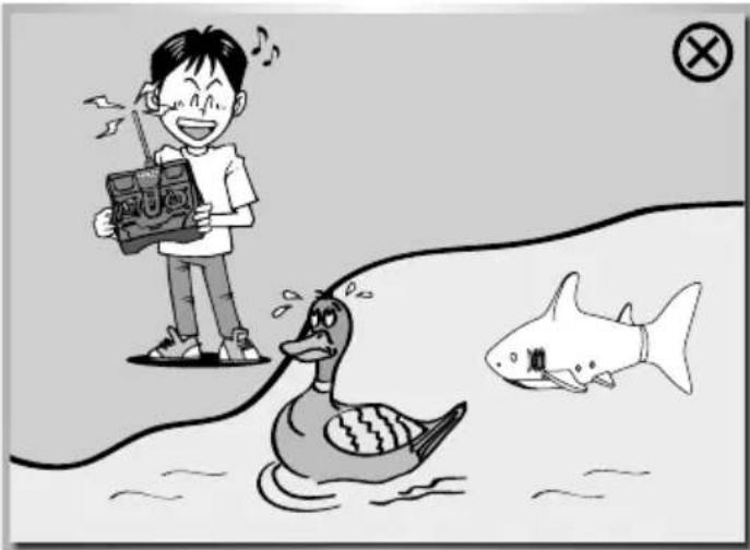 Carson RC Sharky - CAUTIONS WHEN OPERATING THE RC MODEL - 1