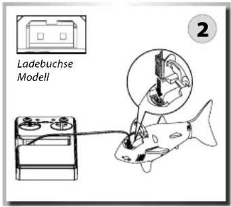 Carson RC Sharky - FR // Remarque importante - 4